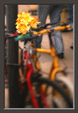 Flower Bicycle Ron Scott